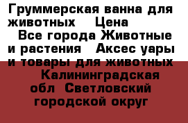 Груммерская ванна для животных. › Цена ­ 25 000 - Все города Животные и растения » Аксесcуары и товары для животных   . Калининградская обл.,Светловский городской округ 